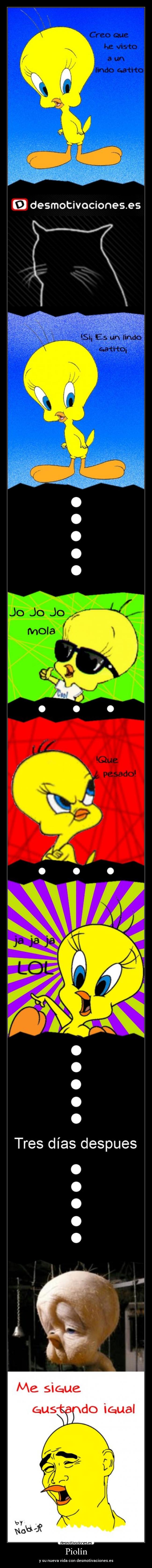 carteles piolin tweety vida desmotivaciones