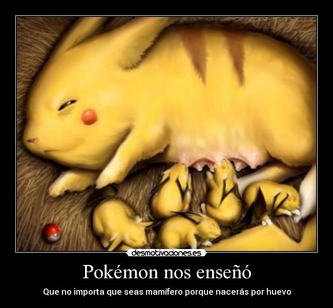 Pokémon nos enseñó - 