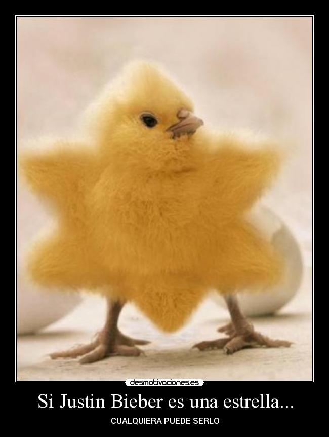 carteles pollito huevo estrella desmotivaciones