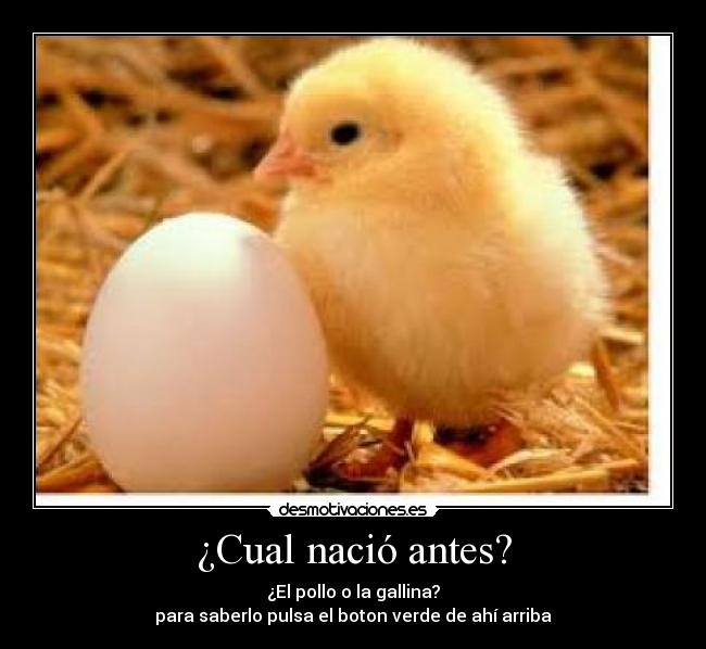 ¿Cual nació antes? - ¿El pollo o la gallina?
para saberlo pulsa el boton verde de ahí arriba