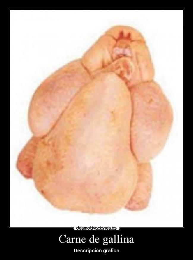 Carne de gallina -