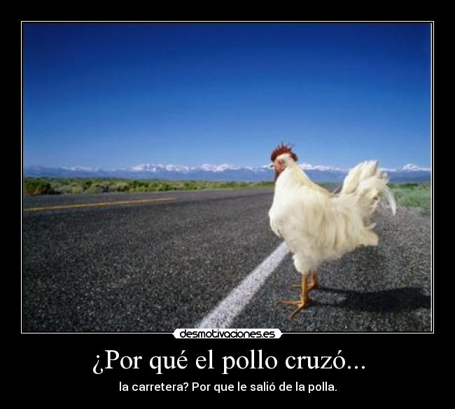 ¿Por qué el pollo cruzó... - 