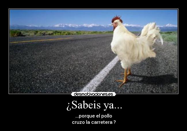 ¿Sabeis ya... - ...porque el pollo
cruzo la carretera ?