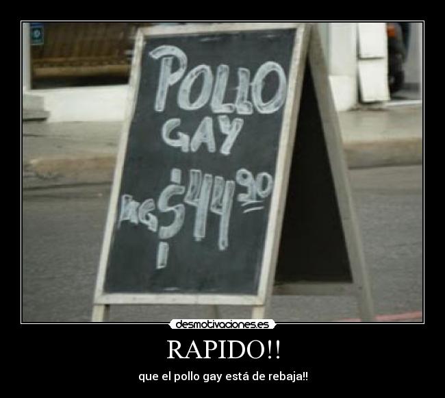 RAPIDO!! - que el pollo gay está de rebaja!!
