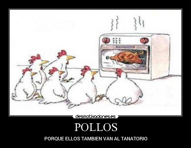 POLLOS - PORQUE ELLOS TAMBIEN VAN AL TANATORIO