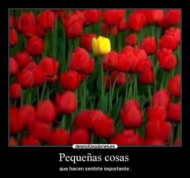 Pequeñas cosas - que hacen sentirte importante .