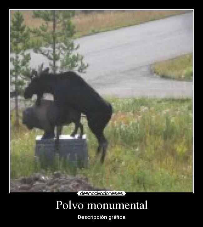 Polvo monumental - 