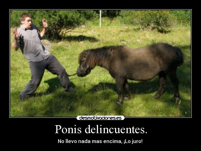 Ponis delincuentes. - 