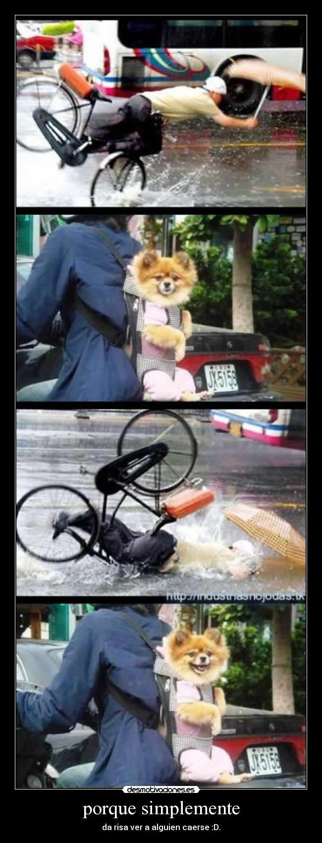 porque simplemente - da risa ver a alguien caerse :D.