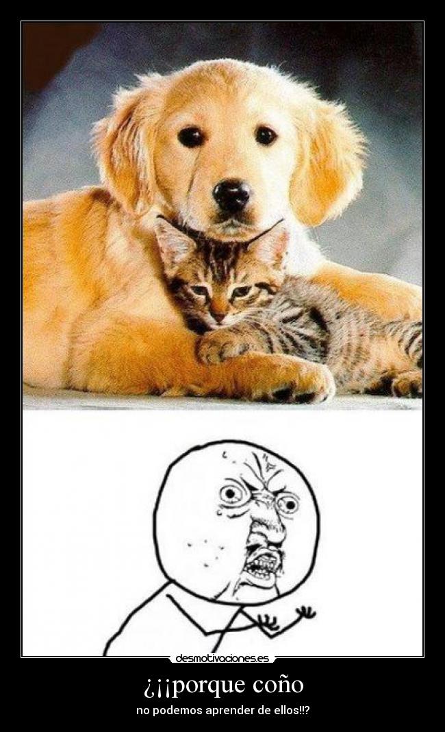 ¿¡¡porque coño - 