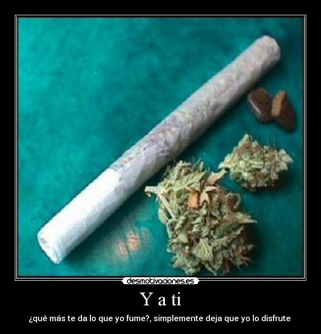 carteles drogas porro weed hash one love desmotivaciones