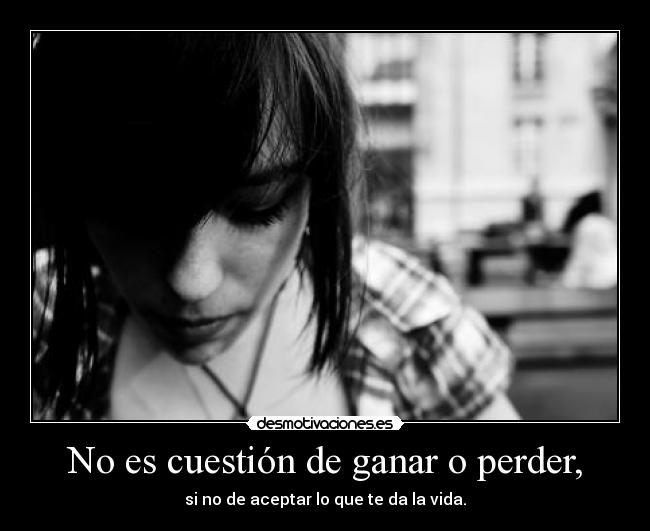 carteles moo desmotivaciones