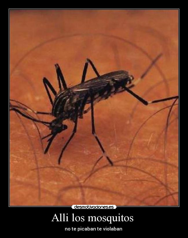 Alli los mosquitos - no te picaban te violaban