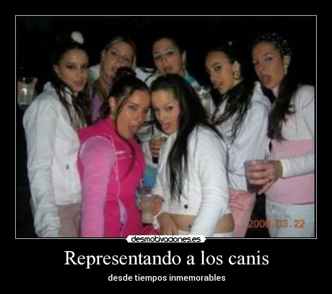 Representando a los canis - 