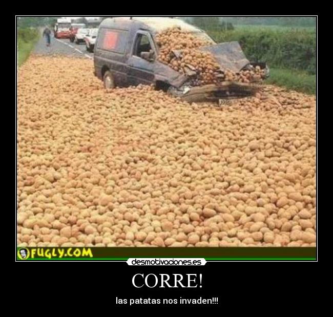 CORRE! - las patatas nos invaden!!!