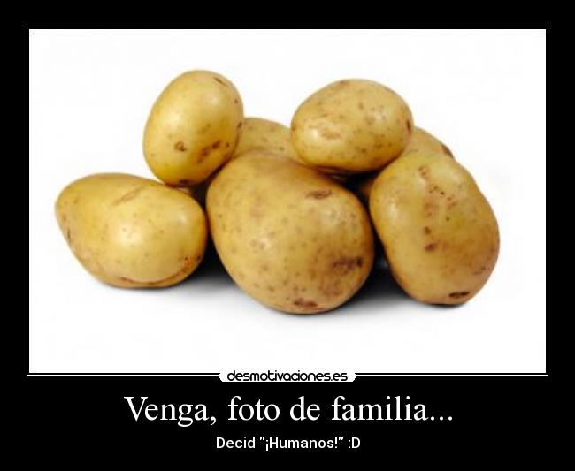 Venga, foto de familia... -