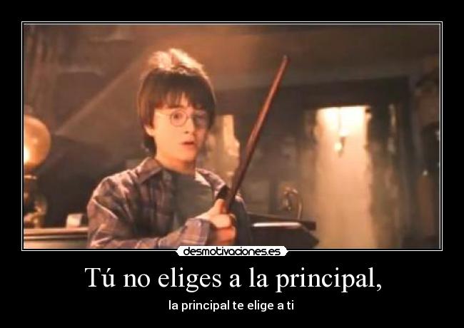 Tú no eliges a la principal, -