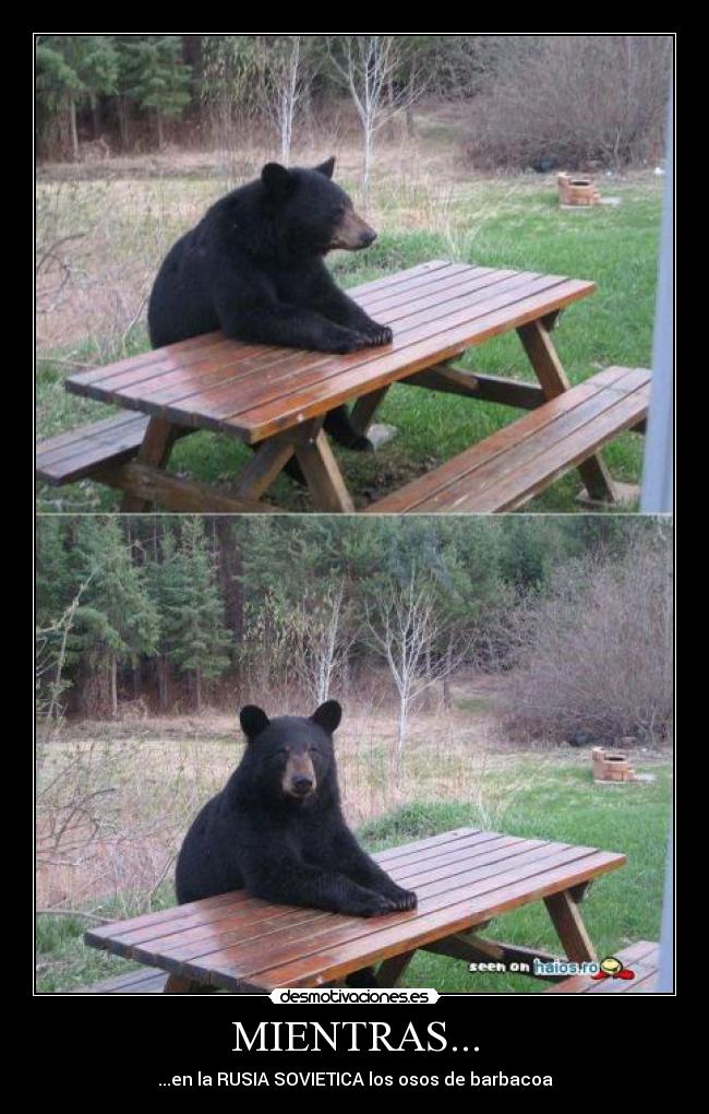 carteles cyxapuk desmotivaciones