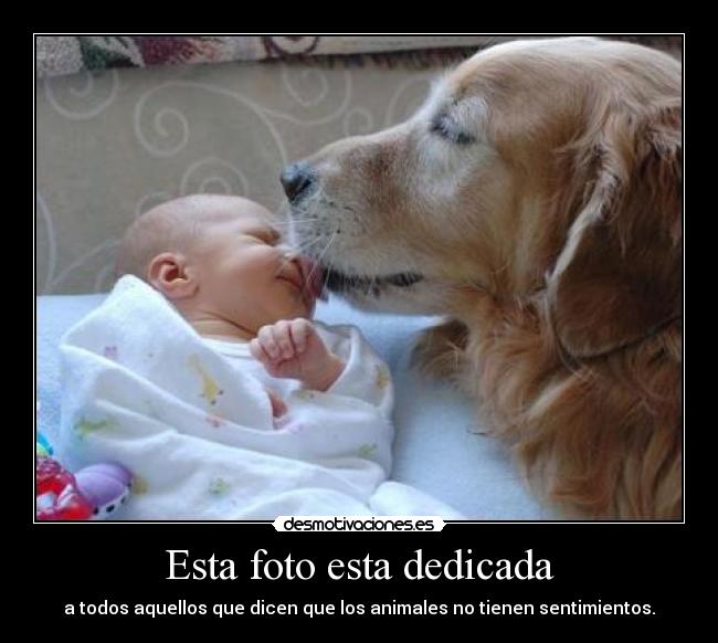 Esta foto esta dedicada - a todos aquellos que dicen que los animales no tienen sentimientos.