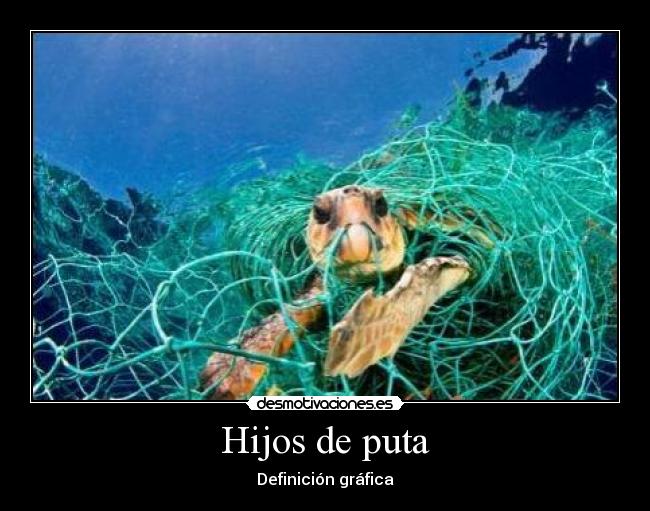 Hijos de puta - 