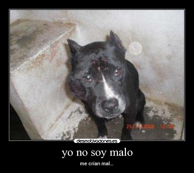yo no soy malo -