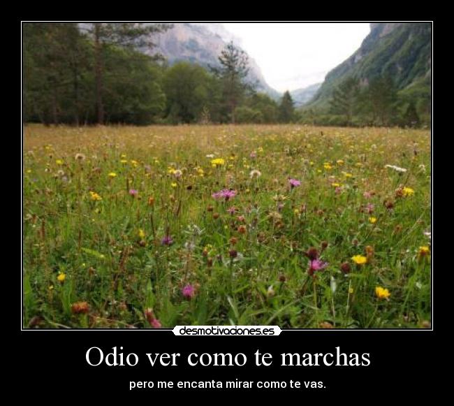 carteles odio amor desmotivaciones