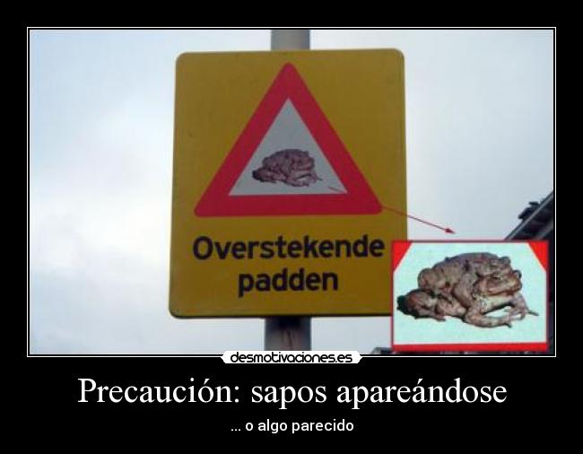 Precaución: sapos apareándose - ... o algo parecido