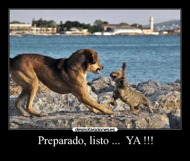 Preparado, listo ... YA !!! -