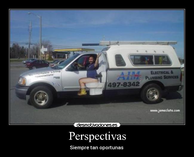 Perspectivas - 