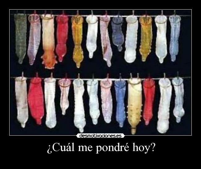 ¿Cuál me pondré hoy? - 