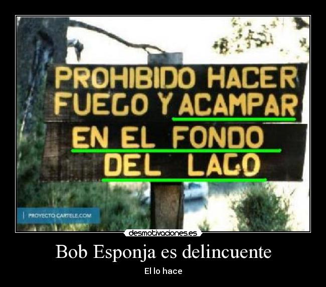 Bob Esponja es delincuente -