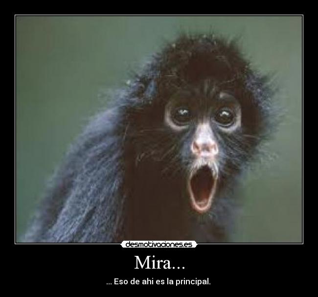 Mira... - ... Eso de ahi es la principal.