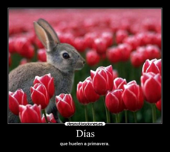Días - que huelen a primavera.