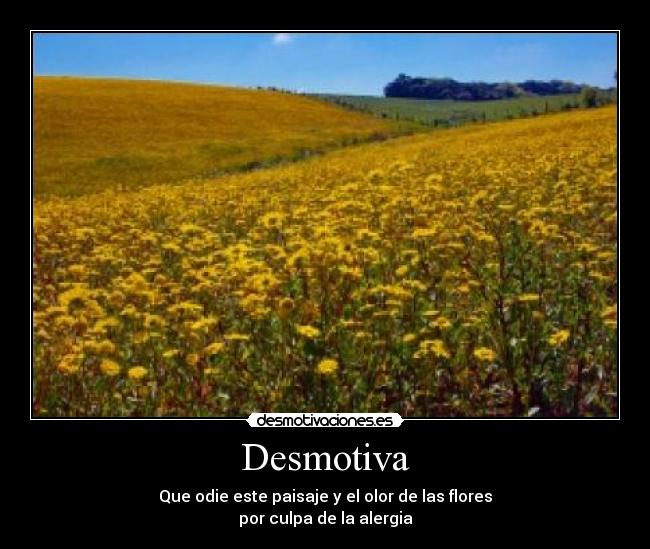 Desmotiva - 