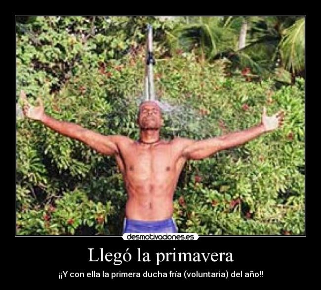 Llegó la primavera - 