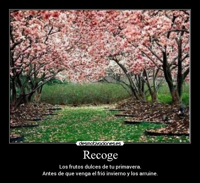Recoge - Los frutos dulces de tu primavera.
Antes de que venga el frió invierno y los arruine.