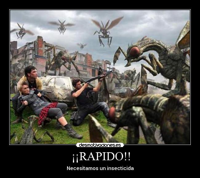 ¡¡RAPIDO!! -