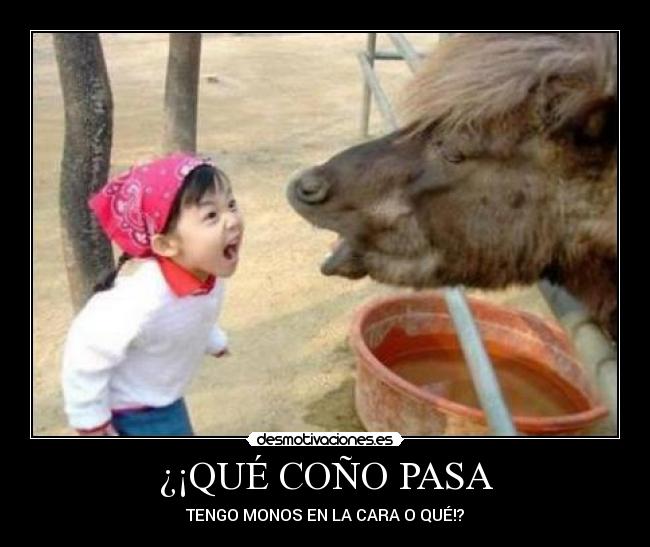 ¿¡QUÉ COÑO PASA - TENGO MONOS EN LA CARA O QUÉ!?