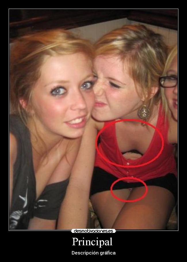 Principal  - Descripción gráfica