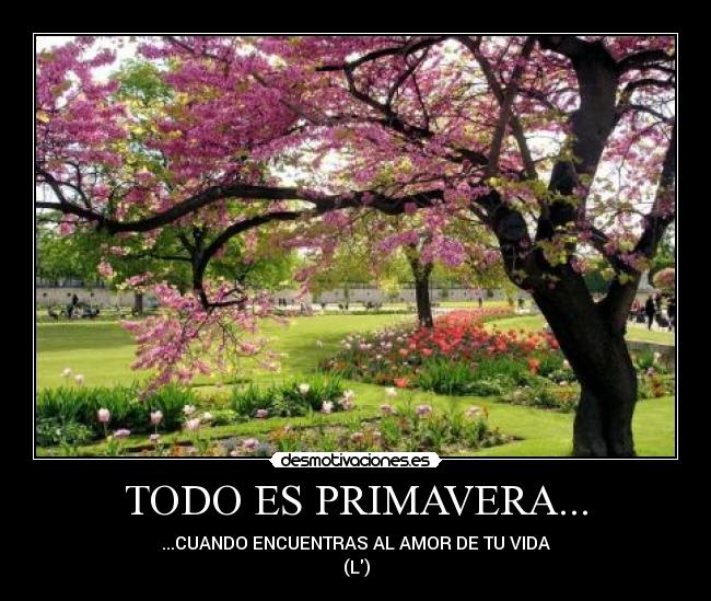 carteles javoti k4ill desmotivaciones