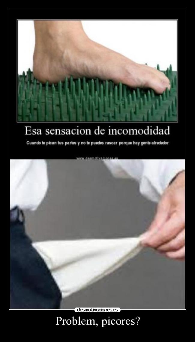 carteles problem picores desmotivaciones
