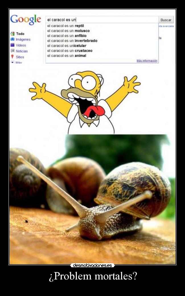 carteles joderxd desmotivaciones