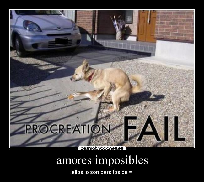 amores imposibles - 