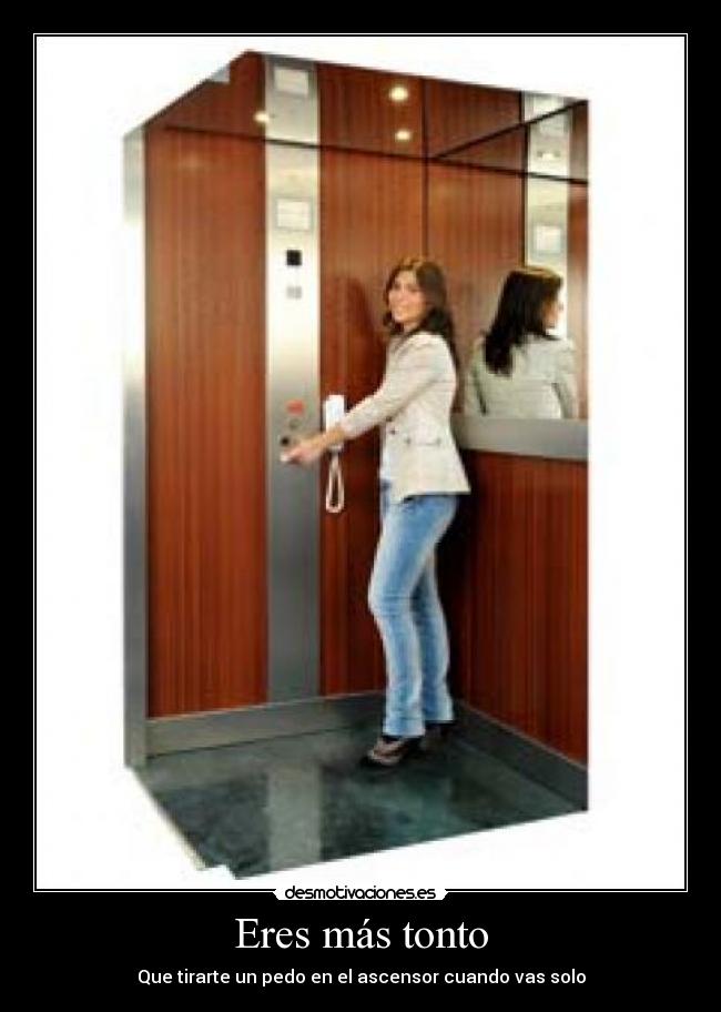 Eres más tonto - 