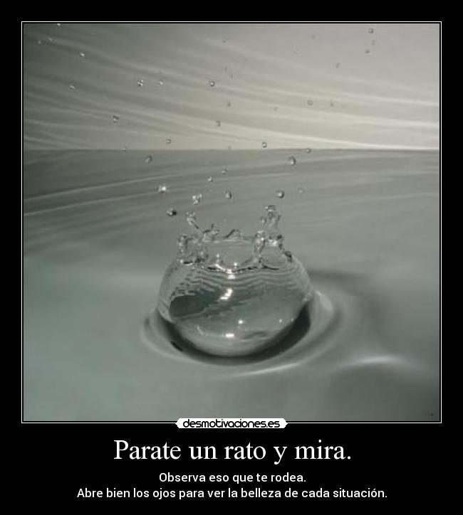 Parate un rato y mira. -