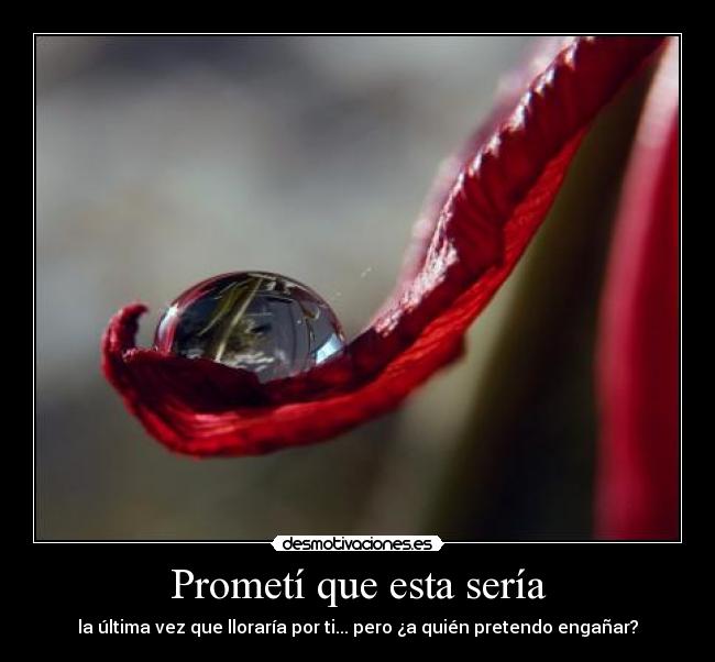 Prometí que esta sería - la última vez que lloraría por ti... pero ¿a quién pretendo engañar?