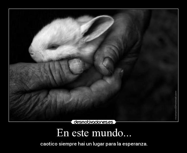 En este mundo... - caotico siempre hai un lugar para la esperanza.