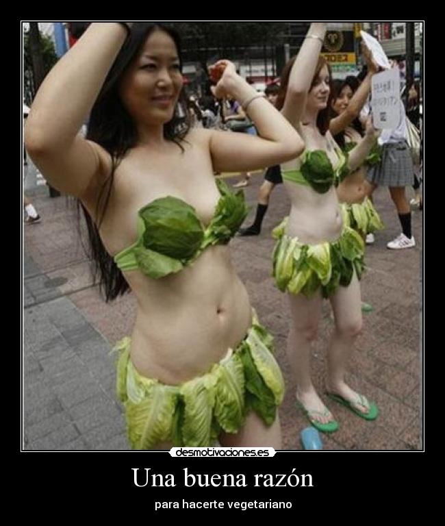 carteles razon vegetariano desmotivaciones