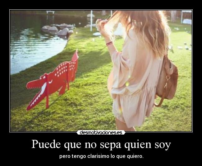 carteles ser desmotivaciones