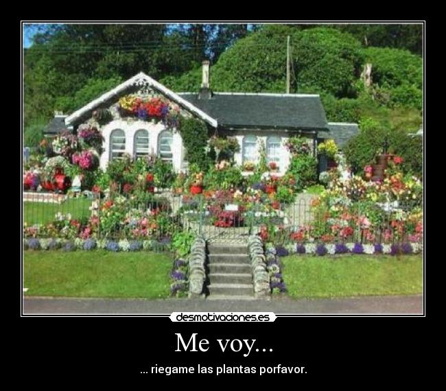 Me voy... -